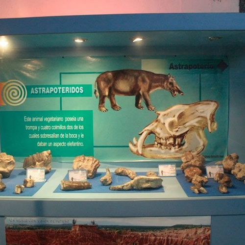 Desierto de la tatacoa Museo paleontologico - Transporte de pasajeros empresarial - Transporte de pasajeros de Bogotá a Desierto de la Tatacoa