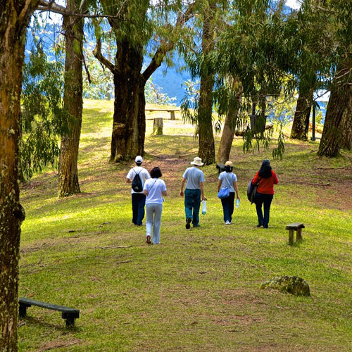 Parque Jerico Caminatas ecologicas - Transporte de pasajeros empresarial - Transporte de pasajeros de Bogotá a Parque Jericó